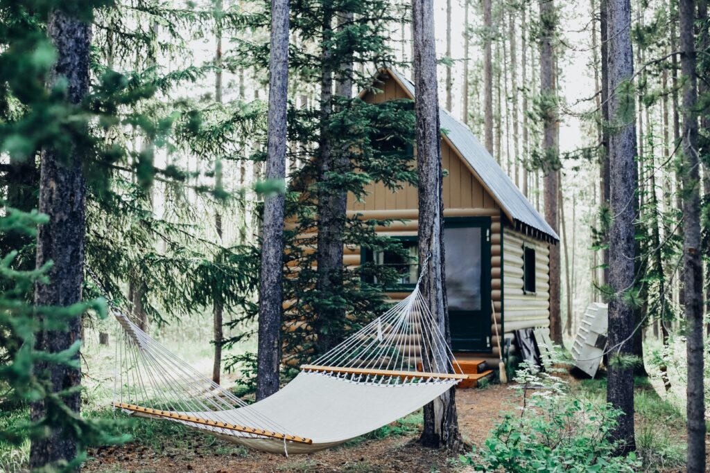 Wooden house in the forest with a hammock between the trees
