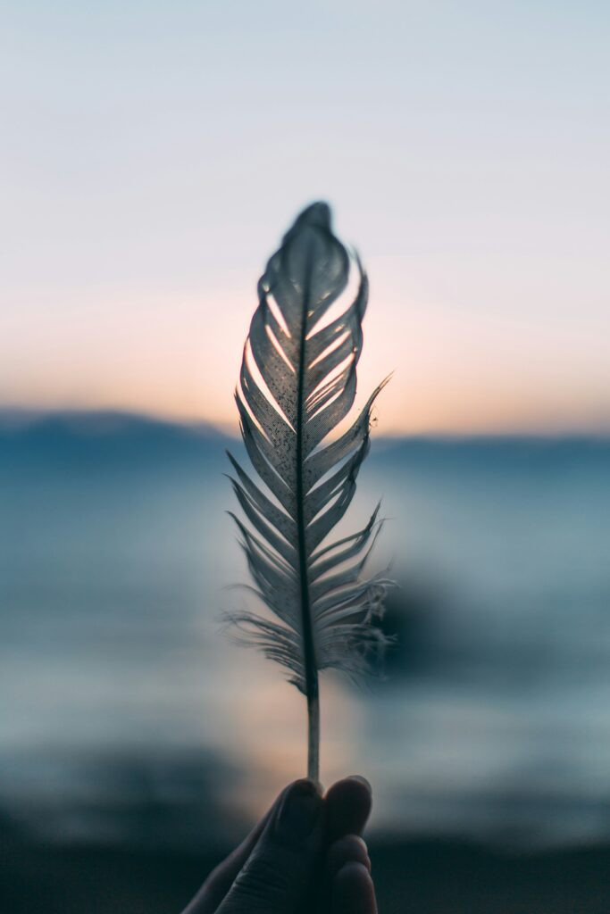 A feather with a beautiful sky in the background
