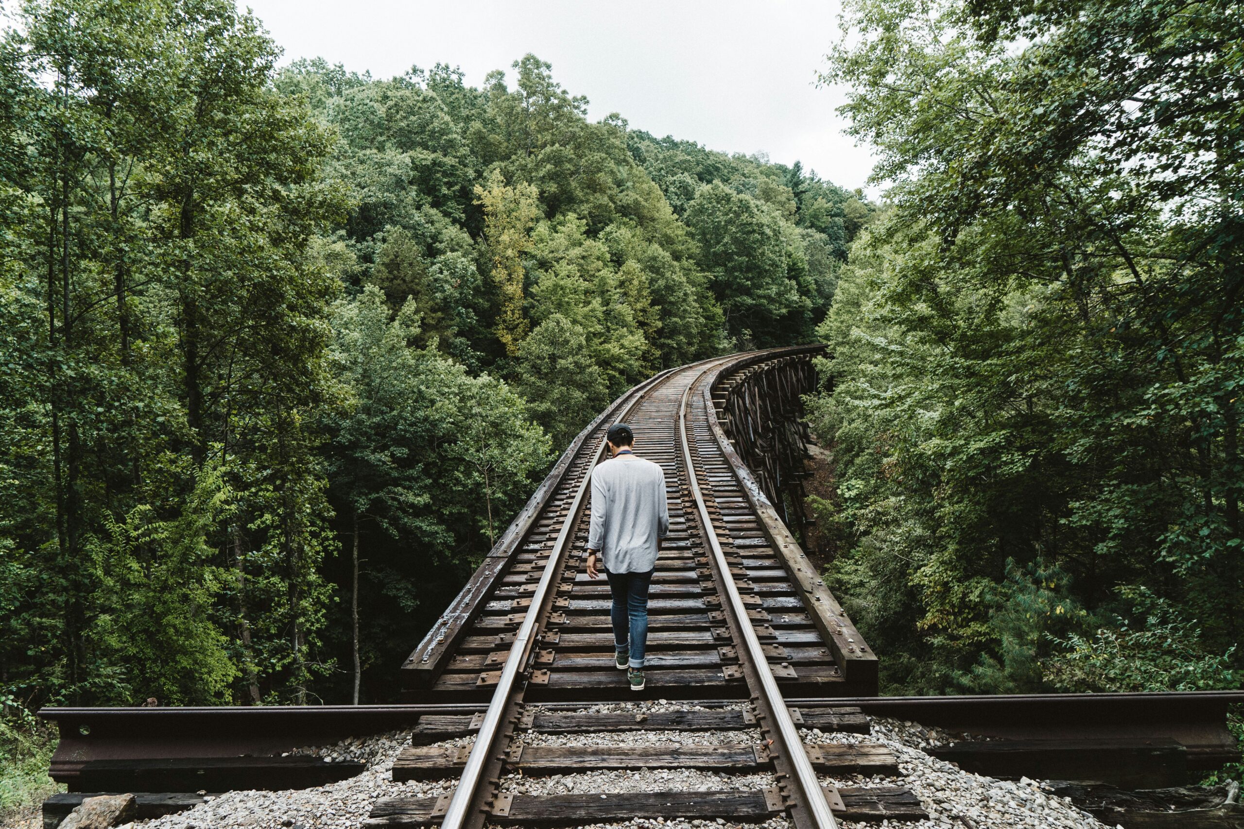 A man walks along a track in the middle of a forest