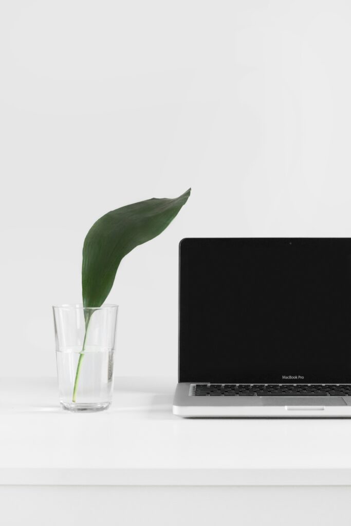 A switched off laptop on a table and a green plant next to it